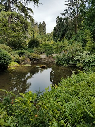 View from the walking bridge. Kubota Park, Seattle WA